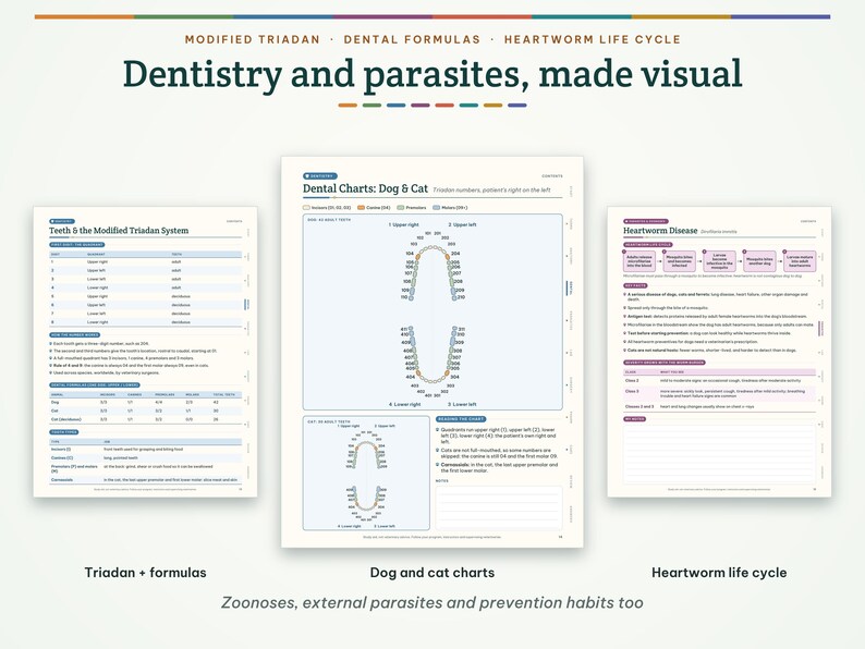May include: Three educational charts titled Dentistry and parasites, made visual. The charts display the Modified Triadan System, dental charts for dogs and cats, and the heartworm disease life cycle with detailed text and diagrams.