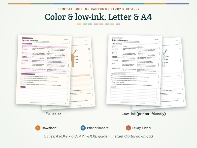 May include: A digital study guide titled Internal Parasites, presented in two versions: a full-colour layout with purple accents and a low-ink, printer-friendly black and white version. Both sheets feature tables and diagrams for educational use.