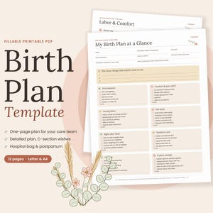 Puede incluir: Una plantilla de plan de parto en PDF rellenable e imprimible con un diseño claro que incluye secciones para el trabajo de parto, el confort y el cuidado del recién nacido. El documento contiene casillas de verificación y el texto My Birth Plan at a Glance.