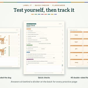 May include: A set of educational study materials featuring three distinct pages: a Label the Dog worksheet with two dog illustrations, a Quick Check assessment page with numbered questions, and a sheet of 40 double-sided flashcards.