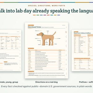 May include: Three educational posters titled Walk into lab day already speaking the language. The charts display Species Names, Directional Terms with a tan dog illustration, and Word Parts including prefixes and suffixes for veterinary anatomy.
