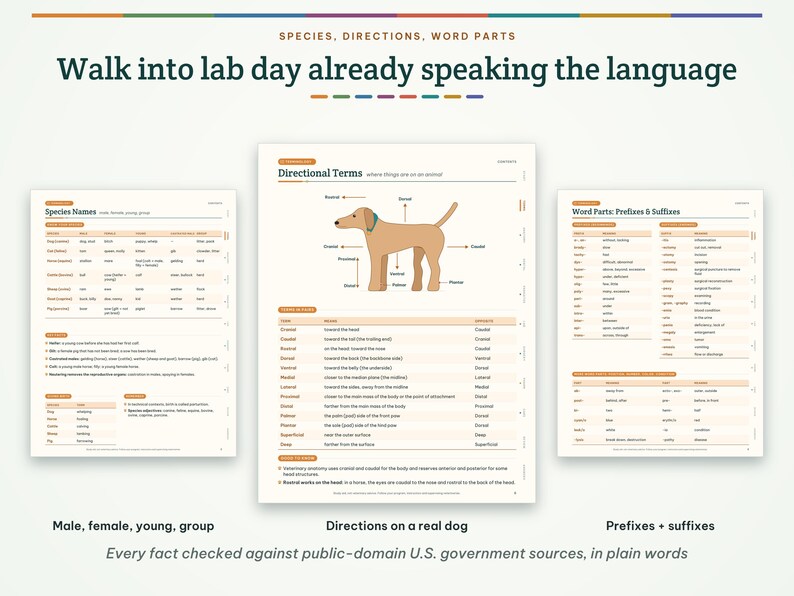 May include: Three educational posters titled Walk into lab day already speaking the language. The charts display Species Names, Directional Terms with a tan dog illustration, and Word Parts including prefixes and suffixes for veterinary anatomy.