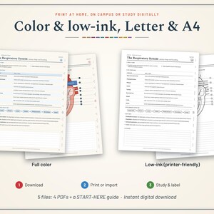 Pu&ograve; includere: Una guida allo studio digitale sul sistema respiratorio composta da quattro file PDF. Le pagine includono testo, diagrammi del sistema respiratorio umano e sezioni a righe per gli appunti. Disponibile in versione a colori e a basso consumo.