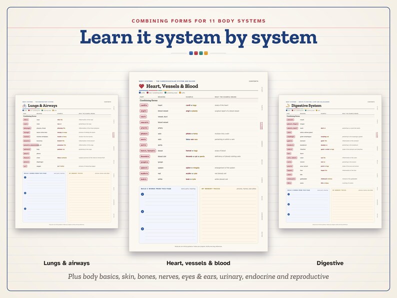 May include: Three educational study sheets titled Learn it system by system, featuring lists of combining forms for body systems including Lungs & Airways, Heart, Vessels & Blood, and Digestive System, with lined note sections.