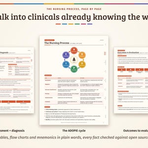 Pu&ograve; includere: Tre tabelle educative sul processo infermieristico intitolate The Nursing Process, Page by Page. La tabella centrale mostra il ciclo ADOPIE in un diagramma circolare colorato, mentre le tabelle laterali descrivono in dettaglio valutazione, diagnosi e risultati.