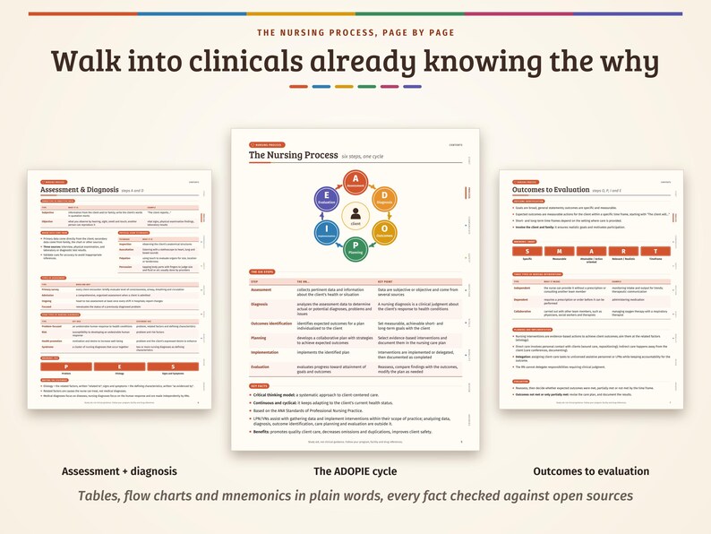 Pu&ograve; includere: Tre tabelle educative sul processo infermieristico intitolate The Nursing Process, Page by Page. La tabella centrale mostra il ciclo ADOPIE in un diagramma circolare colorato, mentre le tabelle laterali descrivono in dettaglio valutazione, diagnosi e risultati.