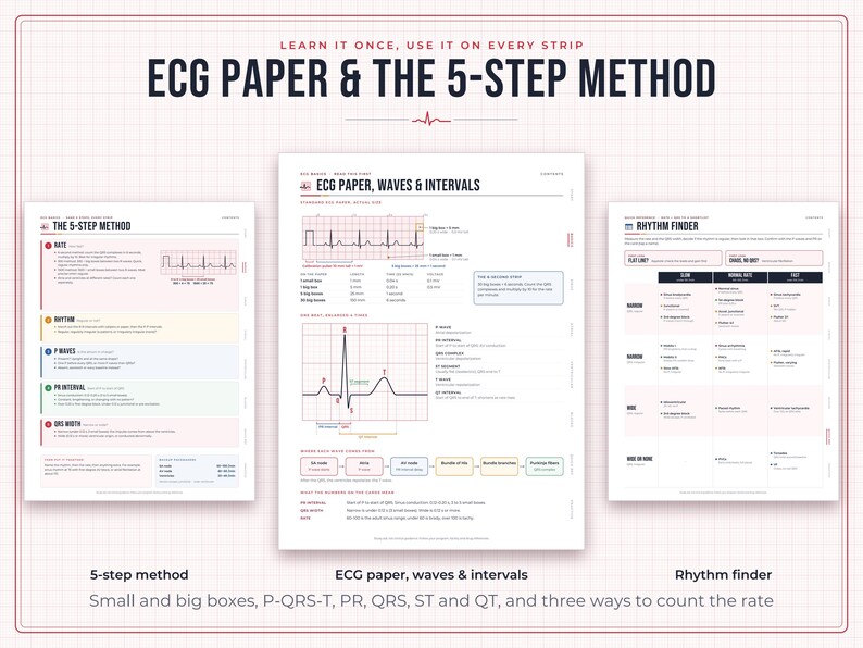 May include: Three educational reference sheets titled ECG Paper & The 5-Step Method, ECG Paper, Waves & Intervals, and Rhythm Finder. The documents feature diagrams, charts, and text explaining cardiac rhythm analysis and ECG measurements.