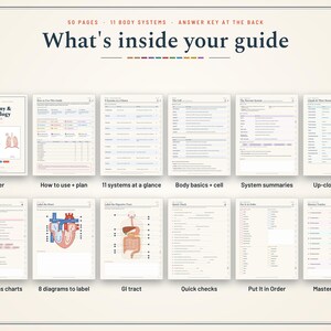 Pu&ograve; includere: Guida allo studio di anatomia e fisiologia con 50 pagine e 11 sistemi corporei. La copertina mostra il titolo e illustrazioni di un cuore, uno scheletro e polmoni. Le pagine interne includono diagrammi, tabelle, grafici e tracker di apprendimento.