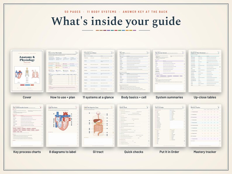 Pu&ograve; includere: Guida allo studio di anatomia e fisiologia con 50 pagine e 11 sistemi corporei. La copertina mostra il titolo e illustrazioni di un cuore, uno scheletro e polmoni. Le pagine interne includono diagrammi, tabelle, grafici e tracker di apprendimento.