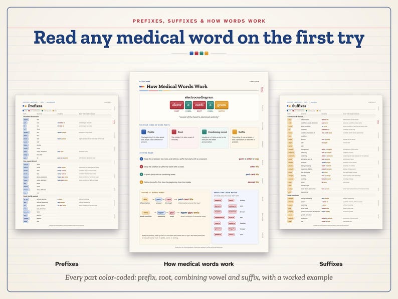 May include: Three educational charts titled Prefixes, How Medical Words Work, and Suffixes. The central chart explains medical terminology using color-coded blocks for prefixes, roots, combining vowels, and suffixes with examples.