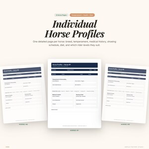 Pu&ograve; includere: Immagine di tre pagine di profili di cavalli digitali. Le pagine sono bianche con intestazioni blu scuro e contengono sezioni per razza, temperamento, storia medica, dieta e livelli di cavaliere. Il titolo recita "Profili di cavalli individuali."
