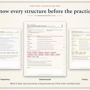 Pu&ograve; includere: Tre fogli di studio educativi intitolati Every Body System on One Page, Know every structure before the practical. I fogli descrivono i sistemi respiratorio, cardiovascolare e urinario con testo, tabelle e diagrammi di flusso.