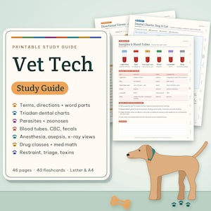 May include: A printable Vet Tech study guide featuring a list of topics including dental charts, parasites, blood tubes, and anaesthesia. The document includes 46 pages and 40 flashcards in Letter and A4 sizes, accompanied by a cartoon dog illustration.