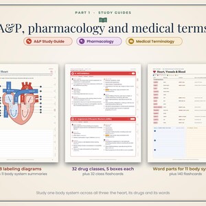 Nursing School Bundle: Student Planner, Pharmacology Cheat Sheets, Anatomy Study Guide, ECG, Medical Terminology imagen 4