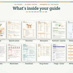 May include: A 46-page Vet Tech study guide featuring 8 core topics and answers at the back. The guide includes pages on species names, directions, word parts, ruminant species, dental charts, parasites, blood tubes, anesthesia, and drug classes.