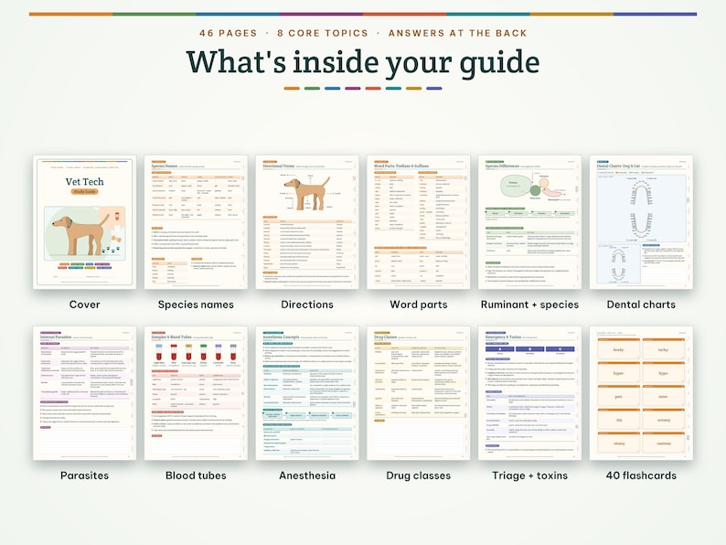 May include: A 46-page Vet Tech study guide featuring 8 core topics and answers at the back. The guide includes pages on species names, directions, word parts, ruminant species, dental charts, parasites, blood tubes, anesthesia, and drug classes.