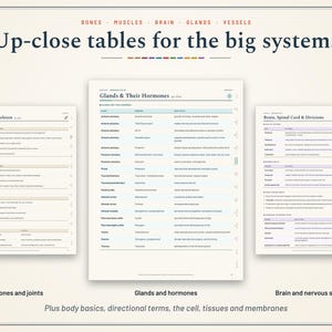 Pu&ograve; includere: Tabelle educative intitolate Up-close tables for the big systems, che presentano tre pagine che descrivono Bones of the Skeleton, Glands & Their Hormones e Brain, Spinal Cord & Divisions con colonne e righe organizzate di dati anatomici.