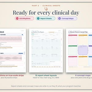 Nursing School Bundle: Student Planner, Pharmacology Cheat Sheets, Anatomy Study Guide, ECG, Medical Terminology imagen 5