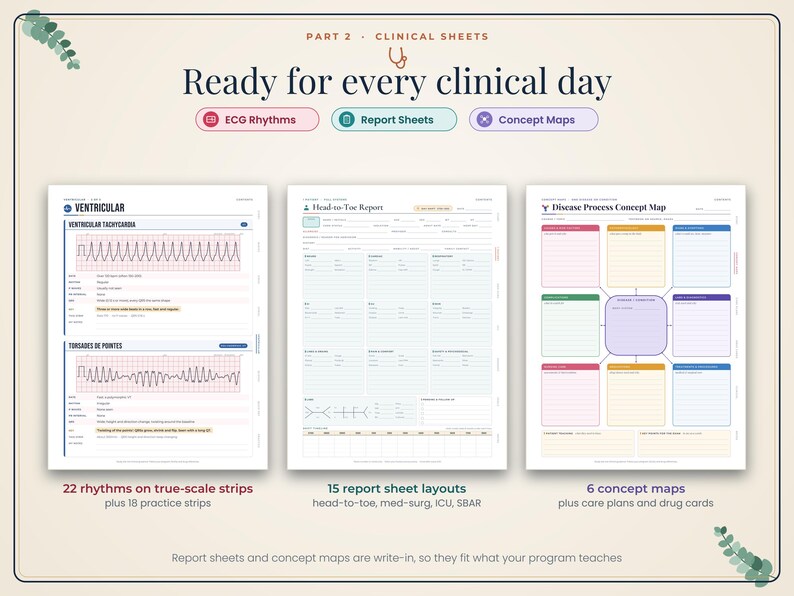 Nursing School Bundle: Student Planner, Pharmacology Cheat Sheets, Anatomy Study Guide, ECG, Medical Terminology imagen 5