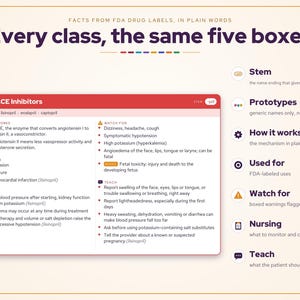 May include: An educational infographic titled Every class, the same five boxes, detailing ACE Inhibitors. It features a red header card with sections for How it works, Used for, Nursing, Watch for, and Teach, alongside a legend explaining the five icons.