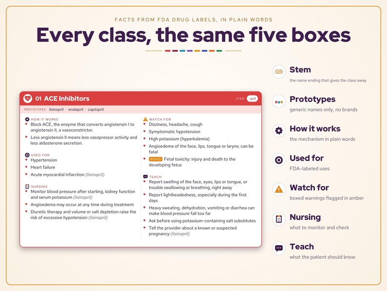 May include: An educational infographic titled Every class, the same five boxes, detailing ACE Inhibitors. It features a red header card with sections for How it works, Used for, Nursing, Watch for, and Teach, alongside a legend explaining the five icons.