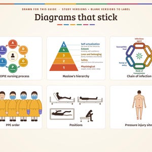 Pu&ograve; includere: Un'infografica educativa intitolata Diagrams that stick che presenta sei diagrammi medici e psicologici: processo infermieristico ADOPIE, gerarchia di Maslow, catena di infezione, ordine DPI, posizioni dei pazienti e siti di lesioni da pressione.