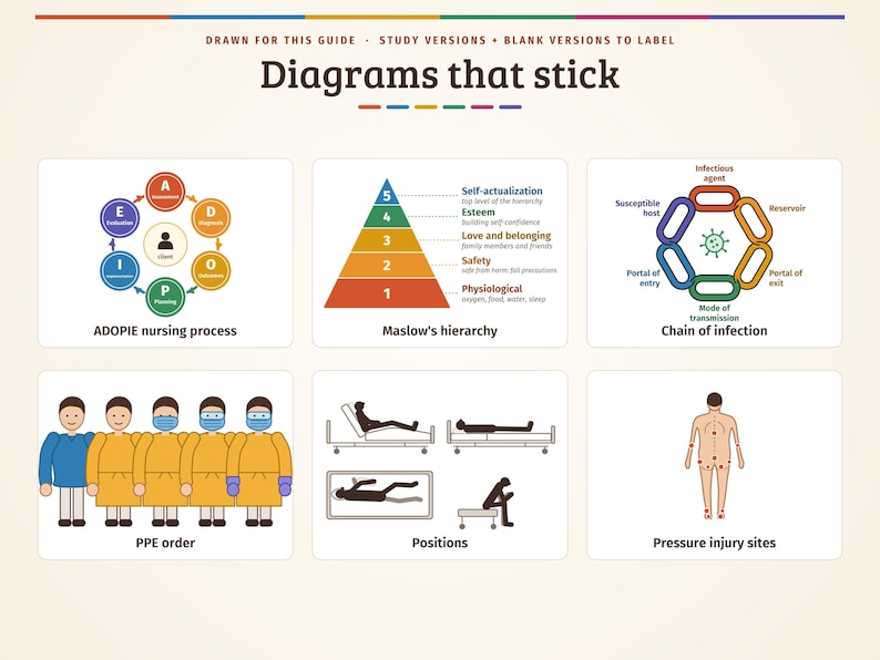 Pu&ograve; includere: Un'infografica educativa intitolata Diagrams that stick che presenta sei diagrammi medici e psicologici: processo infermieristico ADOPIE, gerarchia di Maslow, catena di infezione, ordine DPI, posizioni dei pazienti e siti di lesioni da pressione.