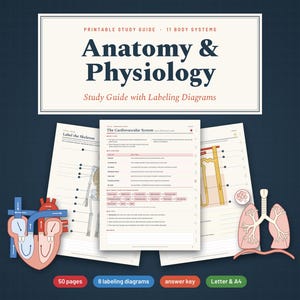 Pu&ograve; includere: Una guida allo studio stampabile di anatomia e fisiologia con 11 sistemi corporei, diagrammi da etichettare e chiavi di risposta. Le pagine includono testo sul sistema cardiovascolare, un diagramma dello scheletro e illustrazioni di cuore e polmoni.