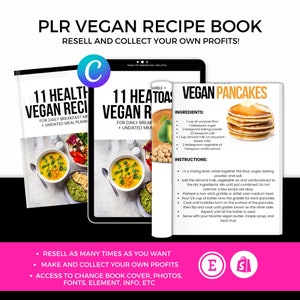 PLR EBook to Resell,DFY Ebook Templates, Ebook Template Canva, Ebook Cover, Canva Template, Editable EBook, DIY Digital Products, Mrr plr