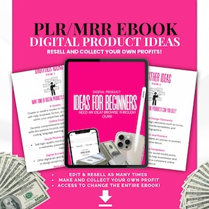 PLR Ebook: Digital Product Ideas, Resell Rights, Canva Template