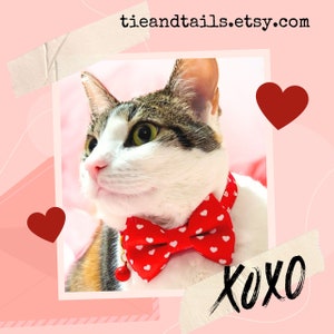 Red Heart Cat Bow tie, Collar and /Break away Buckle//Valentine&#39;s Day/For Cat,Kitten,Small Dog Bow Tie