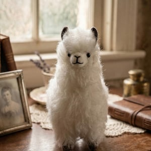 ALPACA - El icono imperturbable
