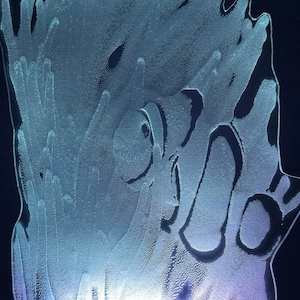 Clown Fish Edge Lit Acrylic LED Light