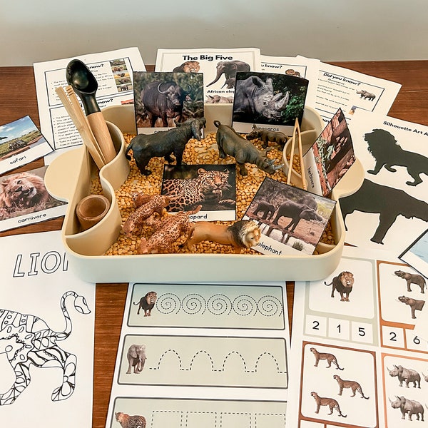 The African Big Five Early Years Unit Study and Activities