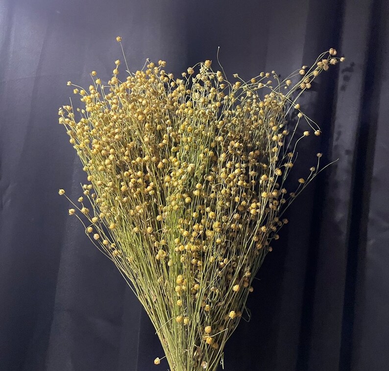 Organic Flax Sprays for Hamsters Etsy UK