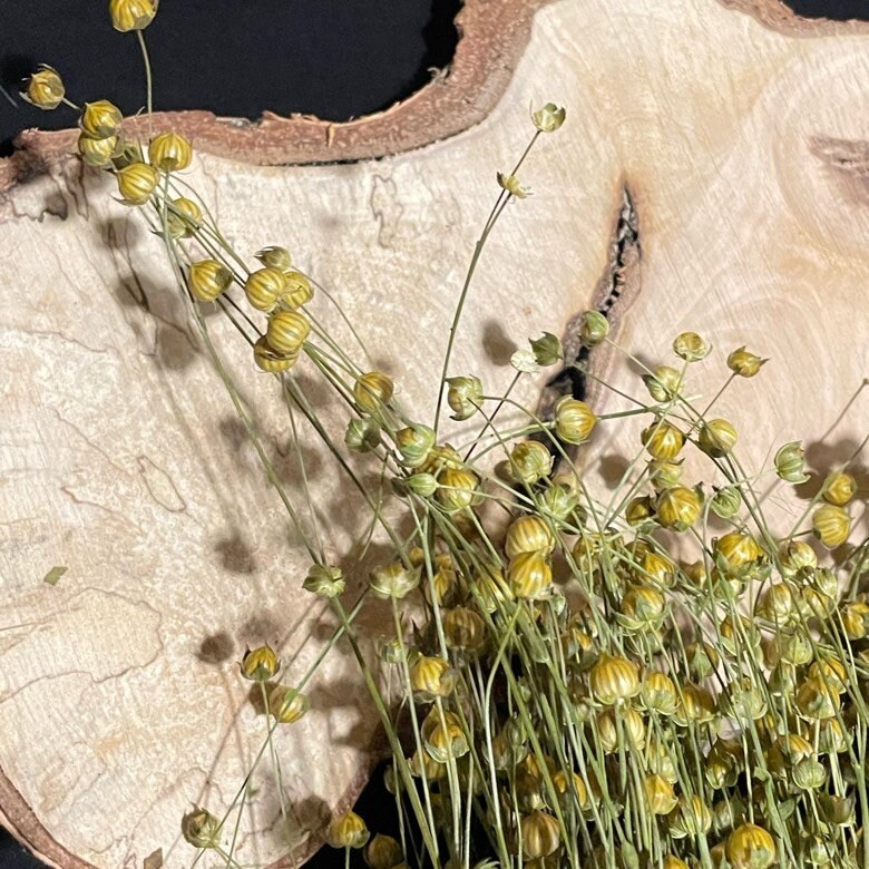 Organic Flax Sprays for Hamsters Etsy UK