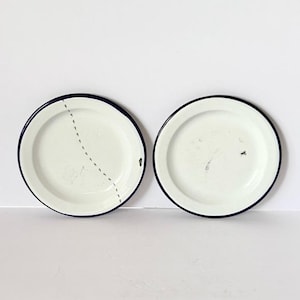 May include: Two white enamel plates with a dark blue rim. One plate has a dotted line design, and the other has a small black insect illustration. The plates are set against a white background.