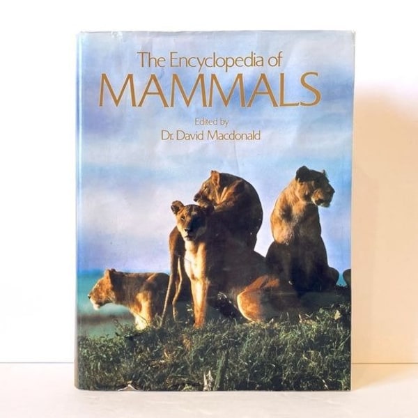 Vintage The Encyclopedia of Mammals Dr. David MacDonald Large Coffee Table Book