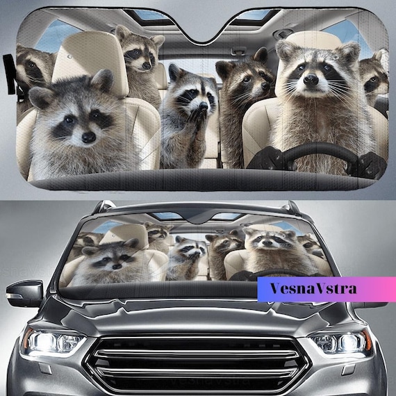 racoon 71HJRIGU81L._UF350,350_QL80_.jpg