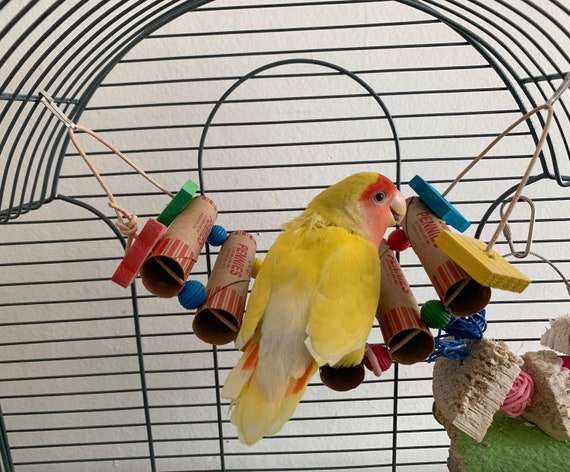 Homemade toys for lovebirds cheap