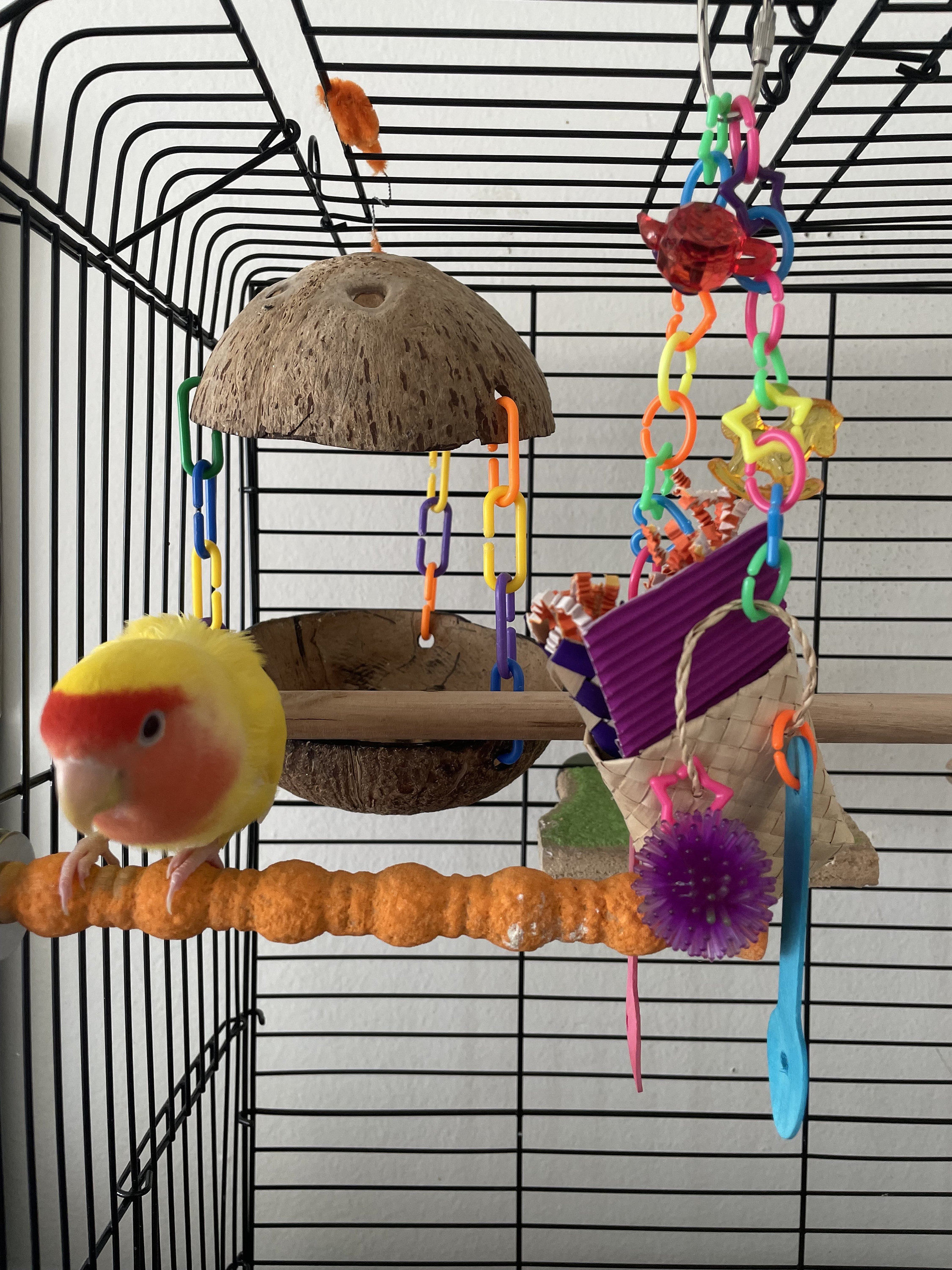 Toys for Bird Cage bird Party Goodie Bag Colorful Stimulating Boredom ... - Bird Cage Attachment For Boredom