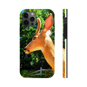 May include: A close-up of a deer's head and neck. The deer is brown with a white patch on its neck. The deer is looking to the left of the image. The background is a blurred green forest.