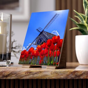 Windmill Tulip Ceramic Photo Tile