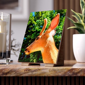 Joe Buck Fawn Keramik Fotofliese