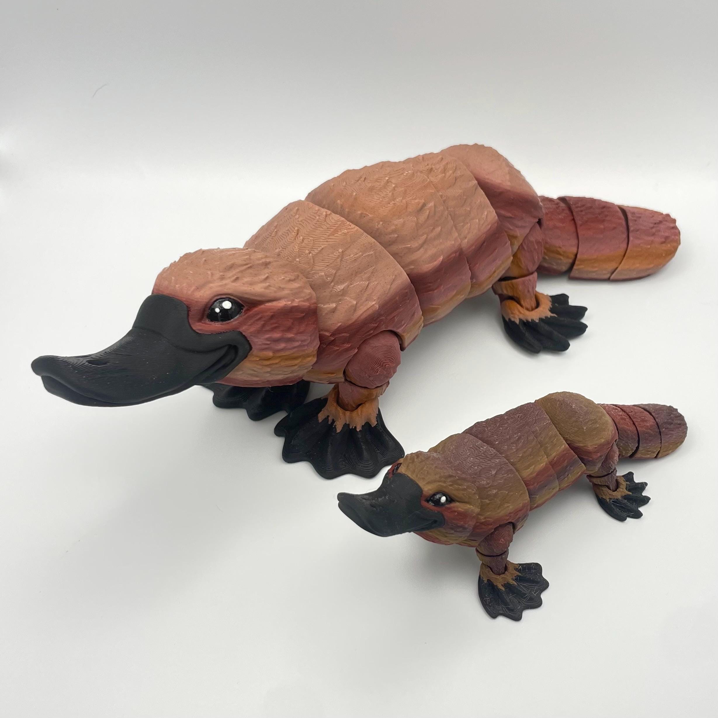 platypus です Ganz Webkinz Pink Googles Platypus 12
