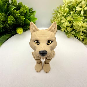 May include: A tan-colored articulated wolf figurine with a smooth, matte finish. The figure features pointed ears, a black nose, and large, expressive eyes with yellow irises and black pupils. The body is sculpted with visible texture lines.