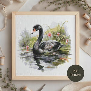 May include: Cross-stitch design of a black swan on water, presented in a light wood frame. The swan features a black neck and body with grey and white details. Pink flowers and green plants surround the swan. The text "PDF Pattern" is in a circle in the lower right corner.