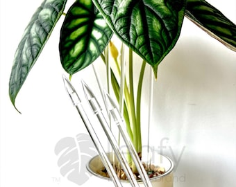 leafy™ Acrylic plant stake  (10 Pack)