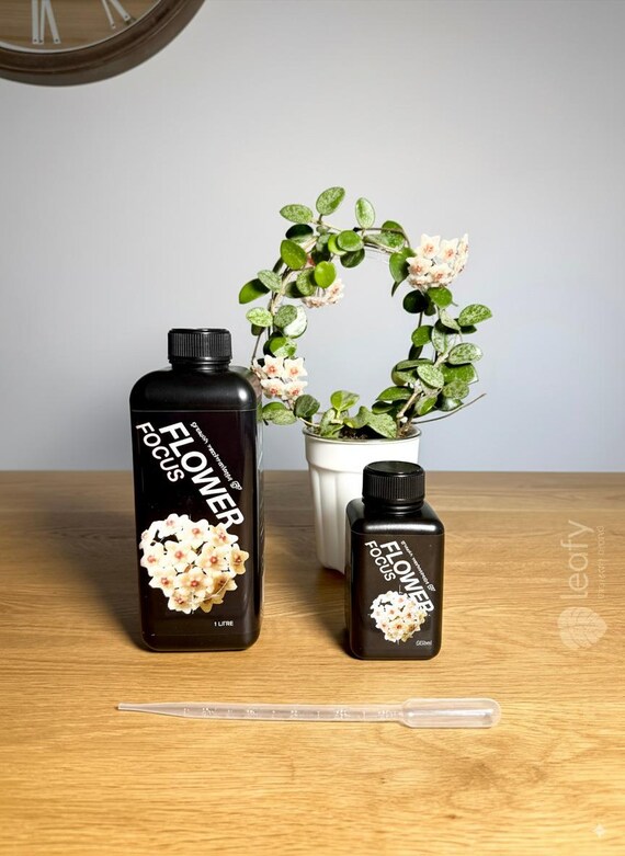 GT - Flower Focus - Etsy
