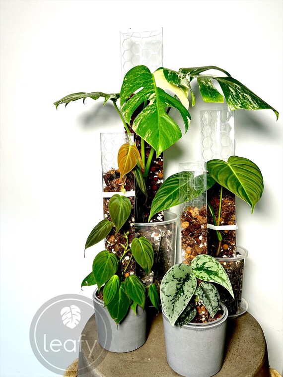 white pot plant Distressed White-Gold Ceramic Floor Planter Large by Galore Home main image 1